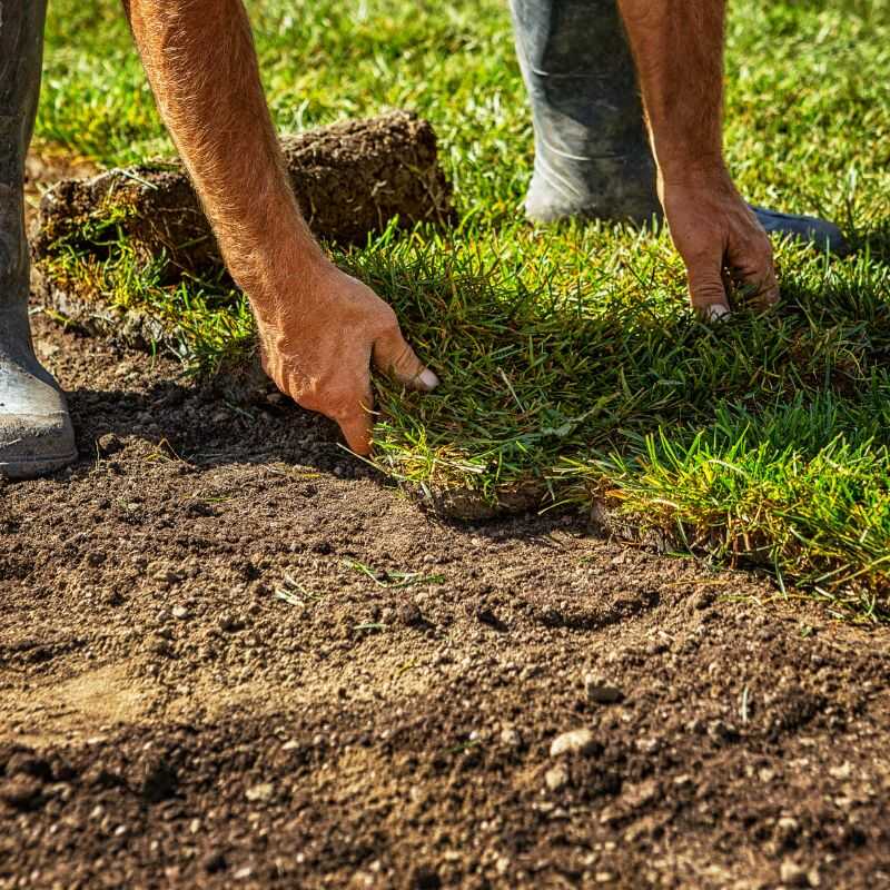 Professional Landscaping Services in Denver, CO
