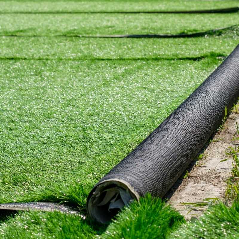 Professional Landscaping Services in Denver, CO