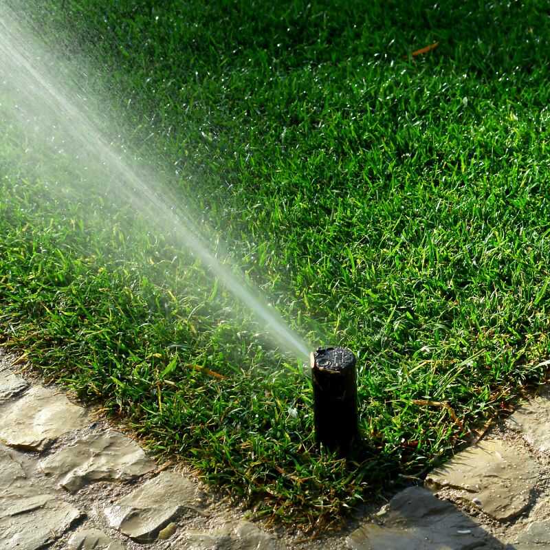 Professional Landscaping Services in Denver, CO
