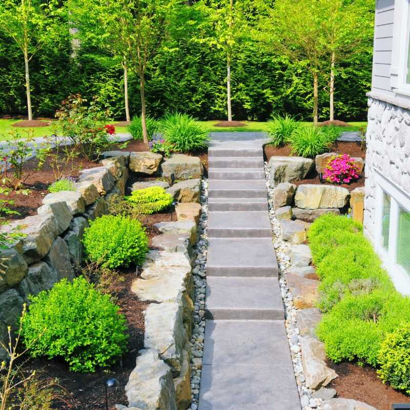 Professional Landscaping Services in Denver, CO