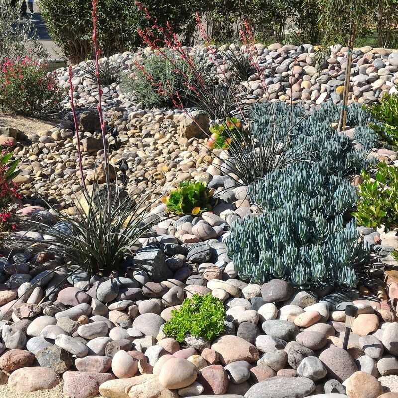 Professional Landscaping Services in Denver, CO