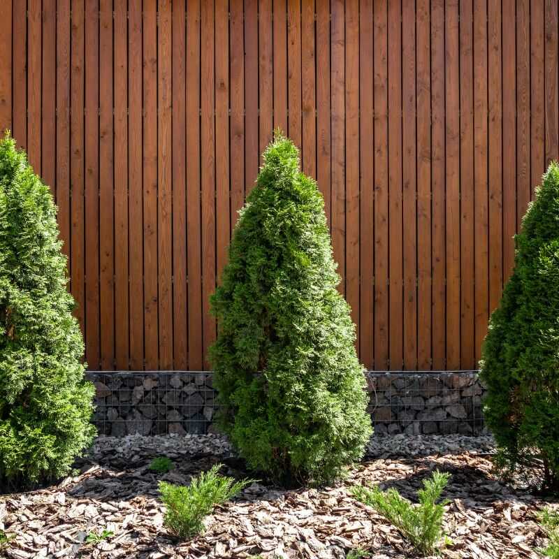Professional Landscaping Services in Denver, CO